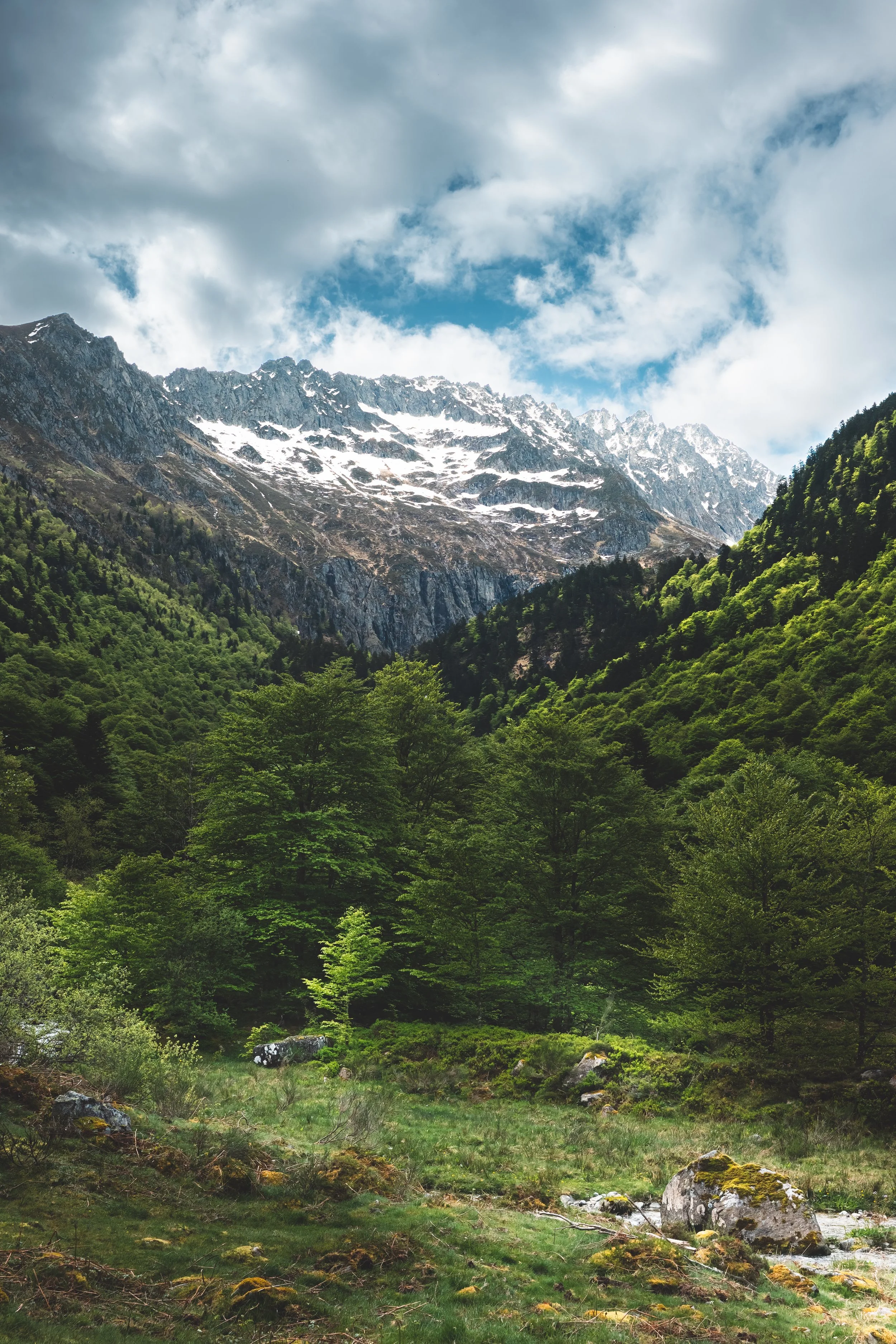 Scenic view of a mountainous landscape with snow-capped peaks, green forested slopes, and a grassy clearing with rocks and trees under a partly cloudy sky.