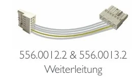 Verlängerungskabel mit mehreren Leitungen und Steckverbindern