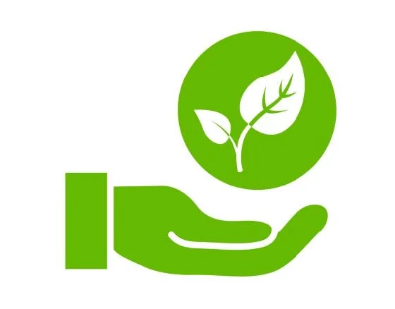 Grüne Hand, die eine Pflanze mit zwei Blättern hält, auf grünem Hintergrund.