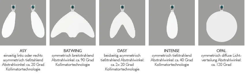 Diagramm von Flügeltypen mit Beschreibungen, darunter Asy, Batwing, Dasy, Intense, Opal.