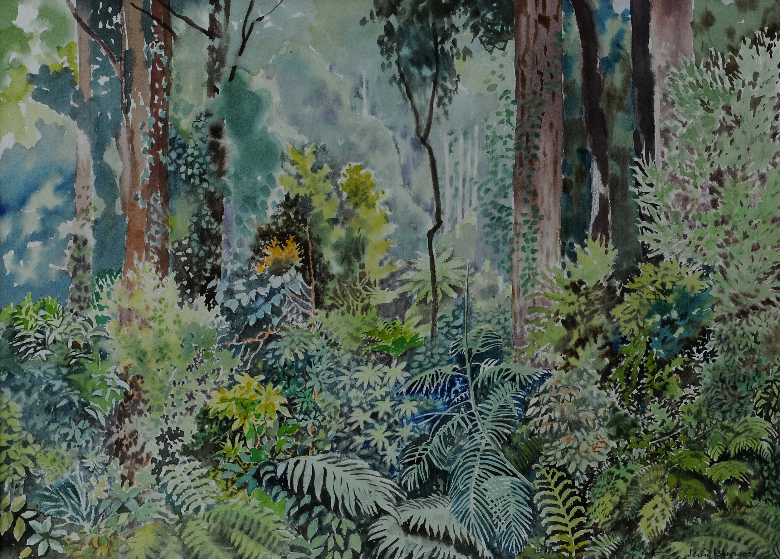 "Green tangle of the brushes" – rainforests all over the coast from Bega, NSW to northern Qld