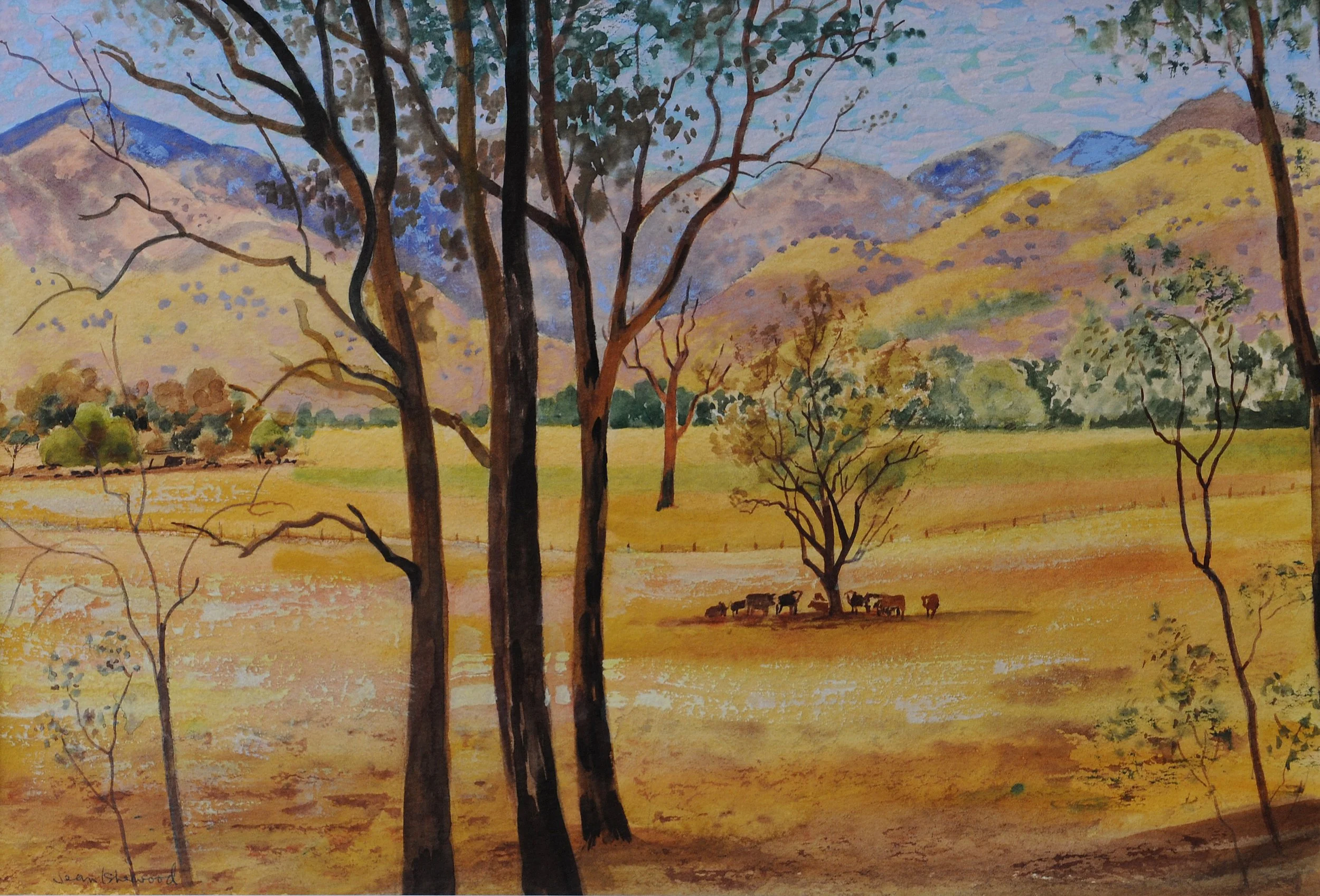 "The hot gold rush of noon" – road to Dungowan, NSW
