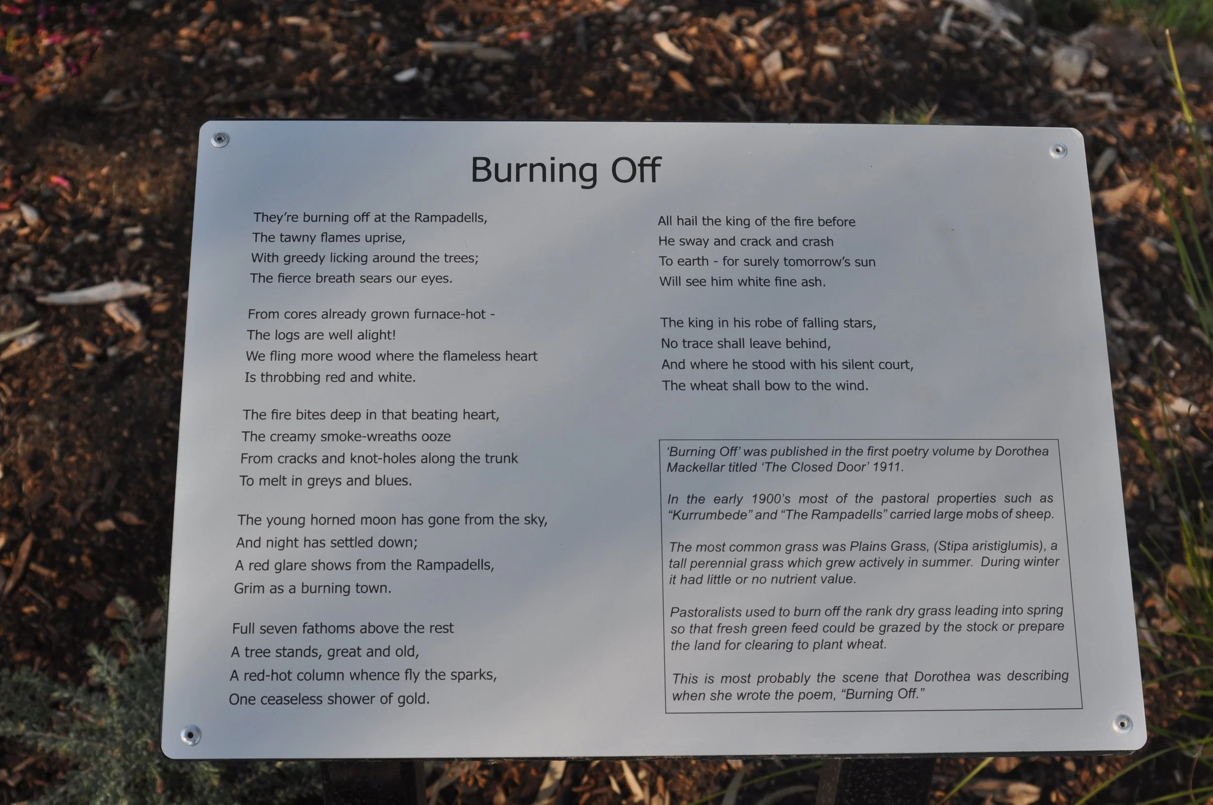 Burning off.JPG