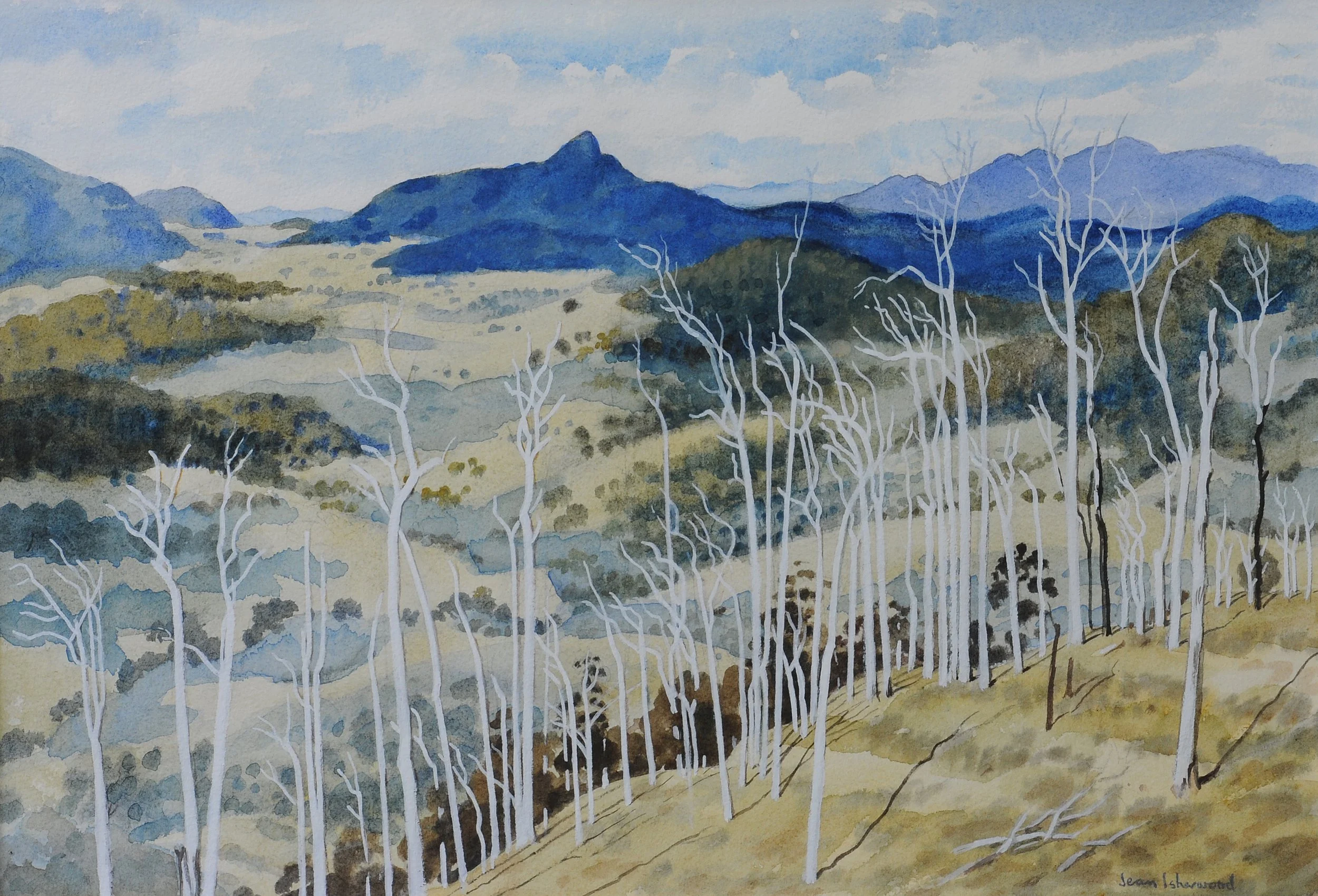 "Core of my Heart, my Country" – dirt road, Killarney, NSW