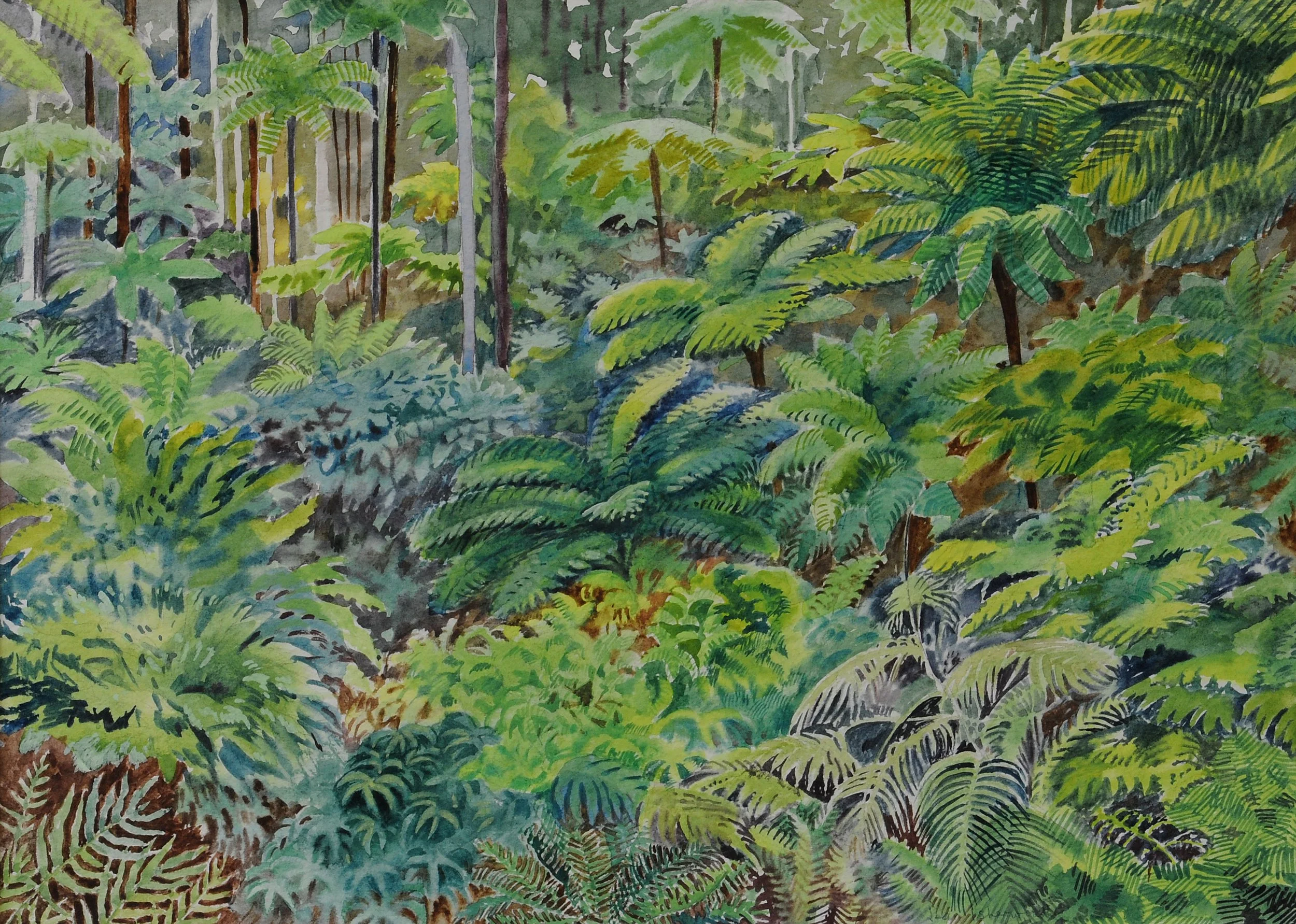 "Ferns the warm, dark soil" – composition