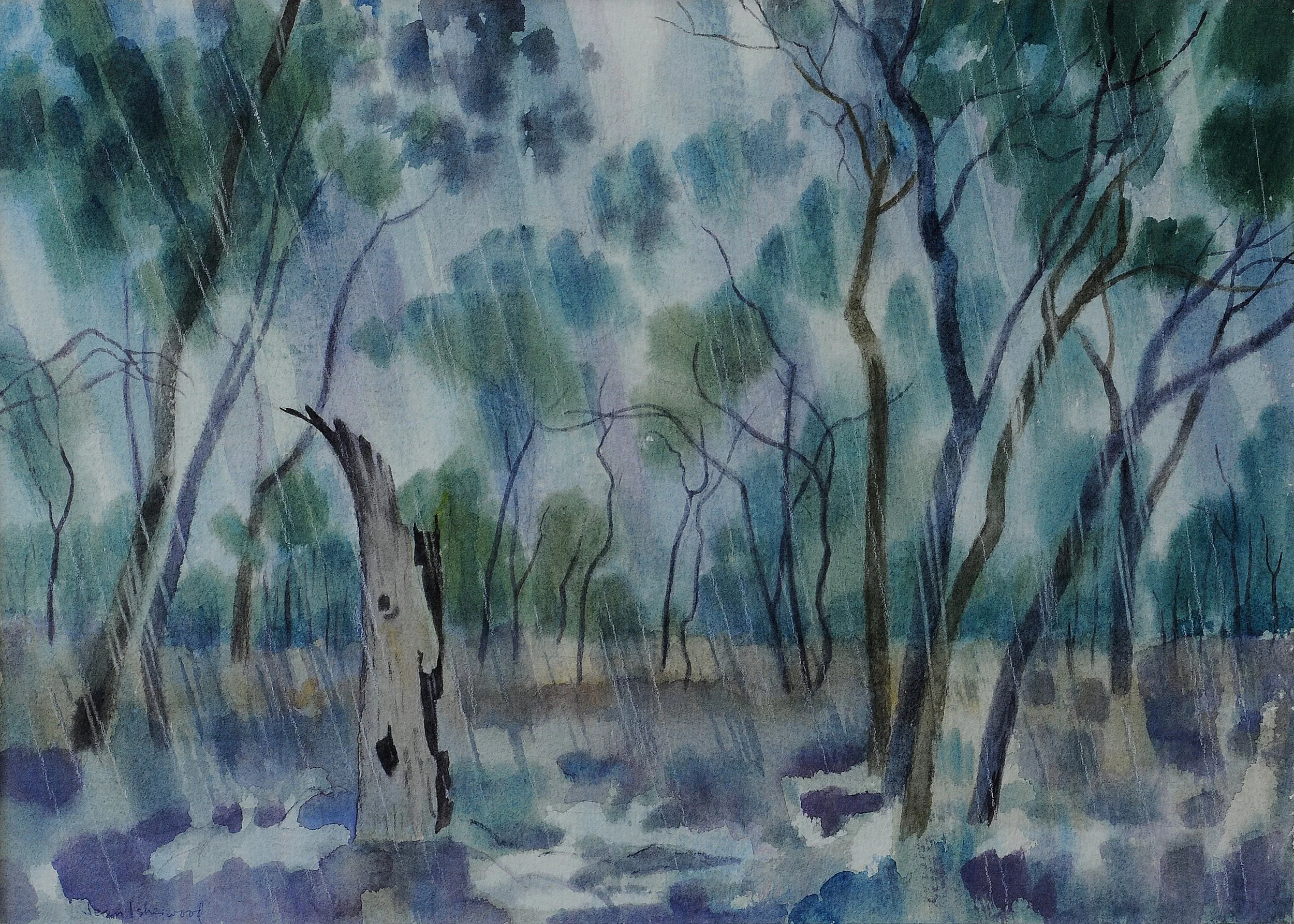 "The steady soaking rain" – remnant tree trunks are one of Jean’s favourite objects, Inverell, NSW