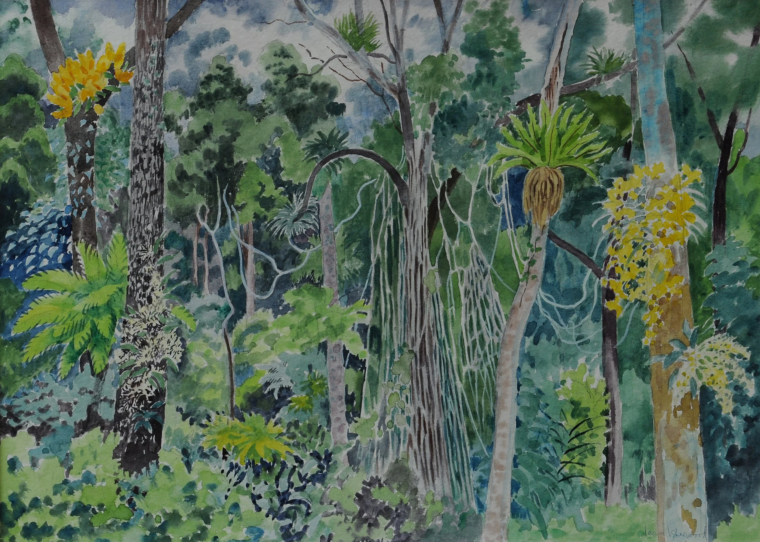 "Orchids deck the tree tops" – out of books