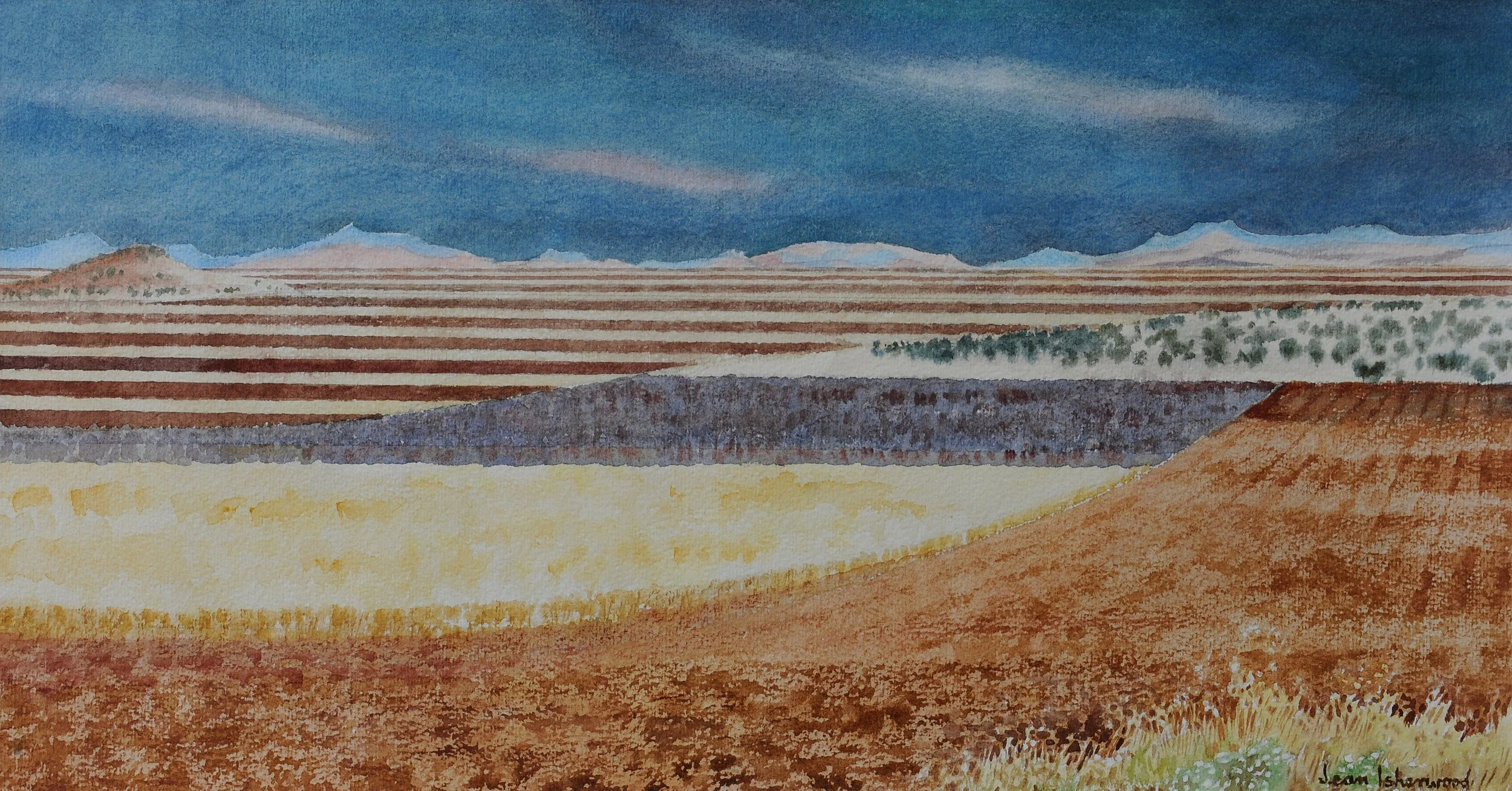 "A land of sweeping plains" – strip farming, Liverpool Plains near Willow Tree, NSW