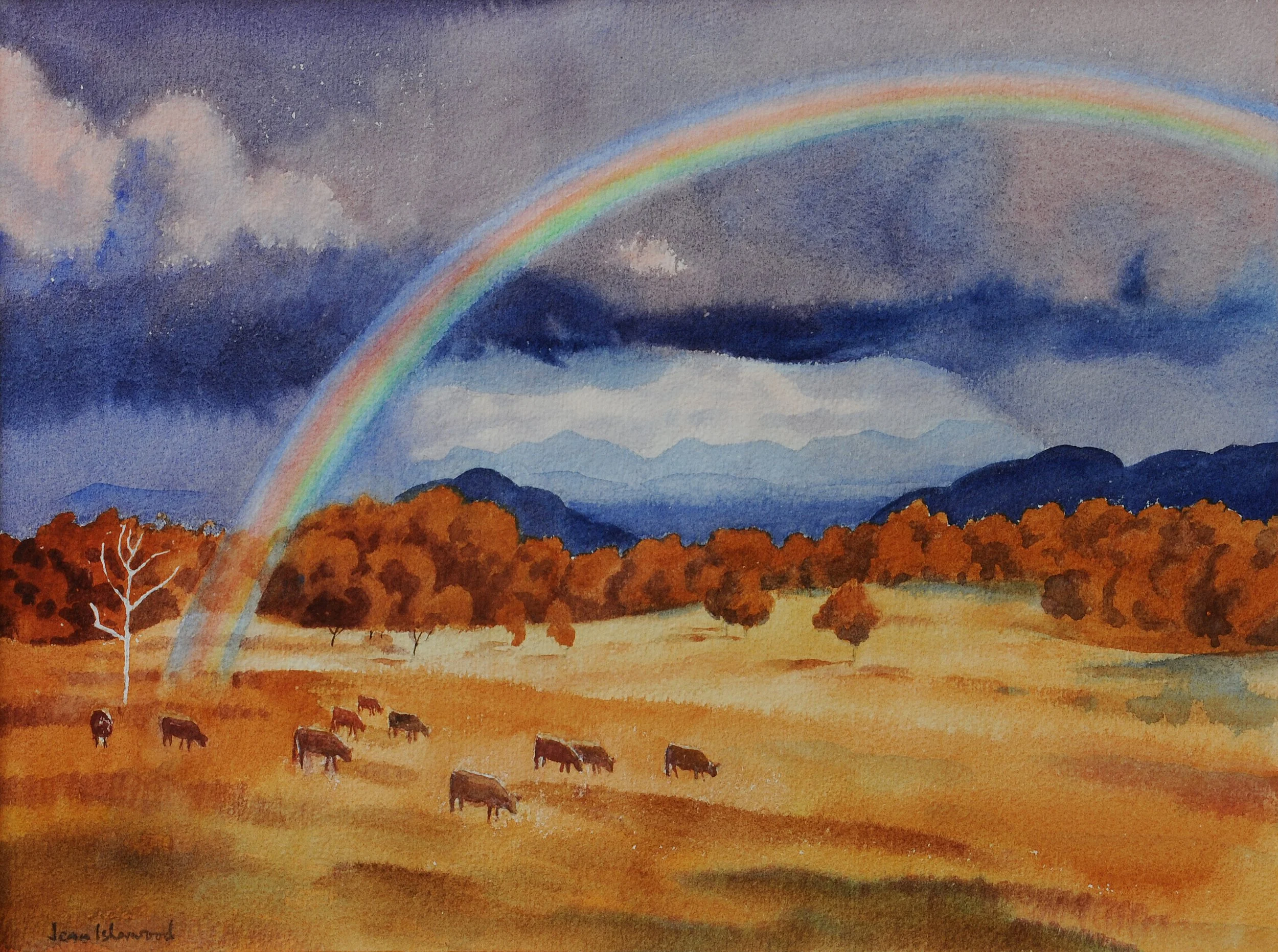 "Land of the Rainbow Gold" – looking over the Peel Valley. The first time Jean had painted a rainbow, Moonbi Ranges, NSW