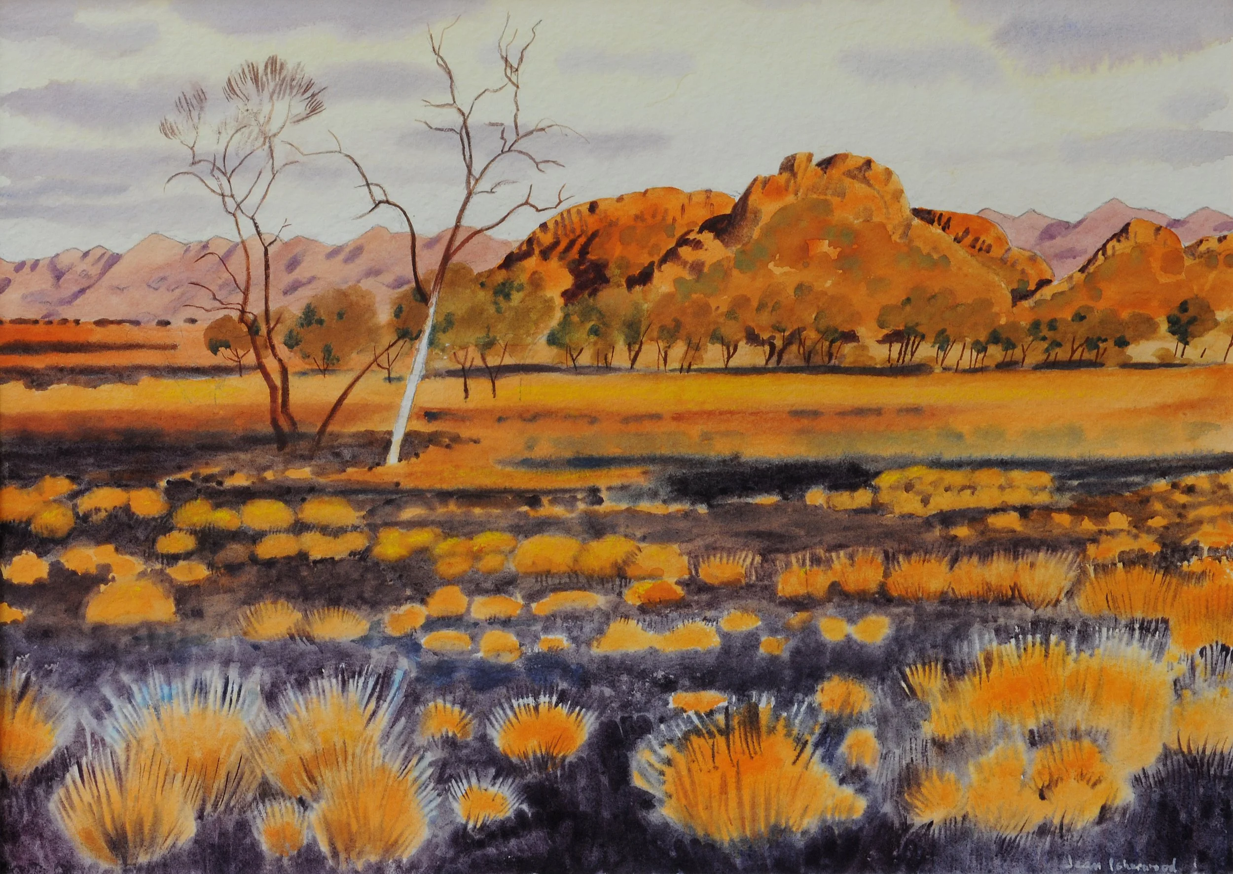 "Her beauty" – just as the last rays of the sun as it caught the top of the Spinifex, Alice Springs, NT