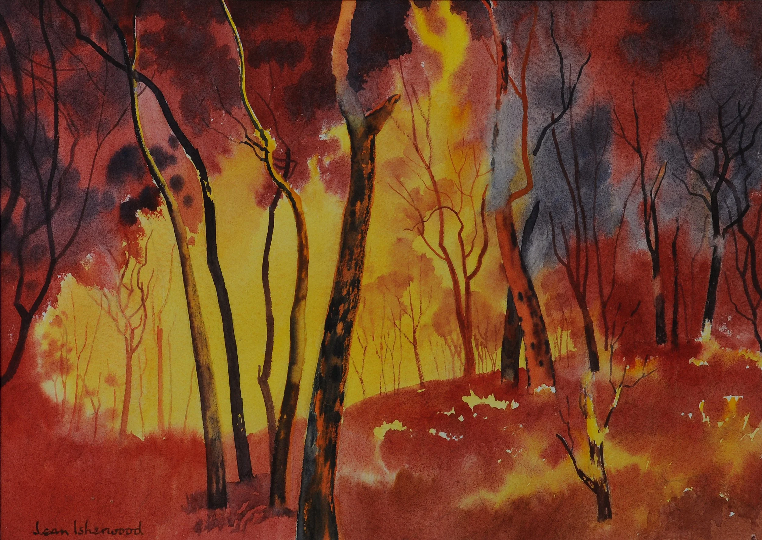 "And her terror" – bushfires in the Blue Mountains, NSW, flames lashing out - memory and imagination
