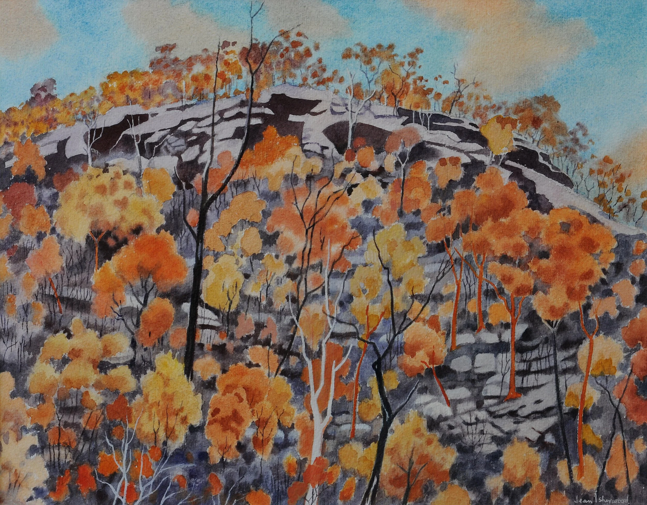 "And fire" – Lady Wakehurst Drive near Narrabeen, NSW