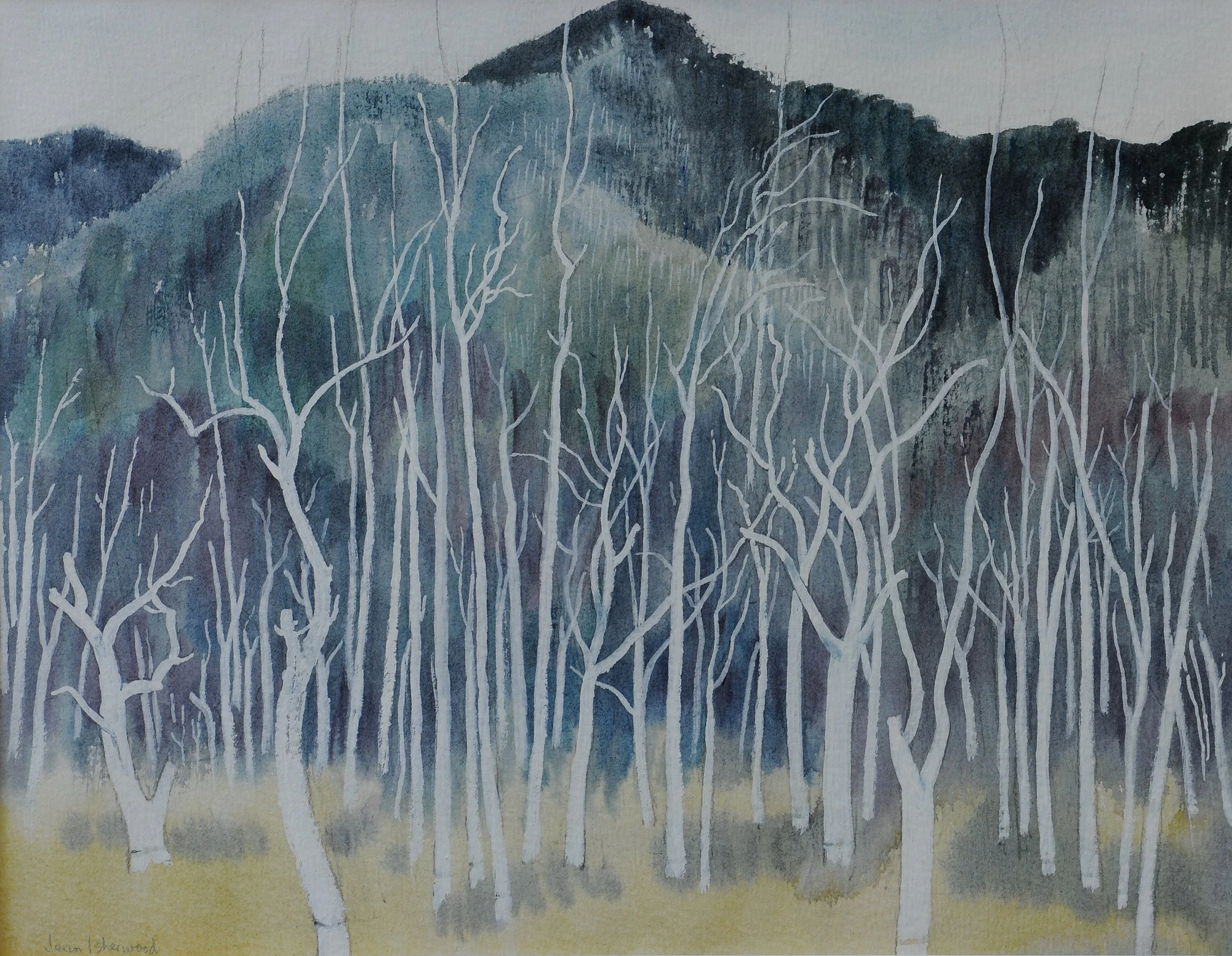 "The stark white ring-barked forests" – 1959-1960 composition, Armidale, NSW to Tasmania