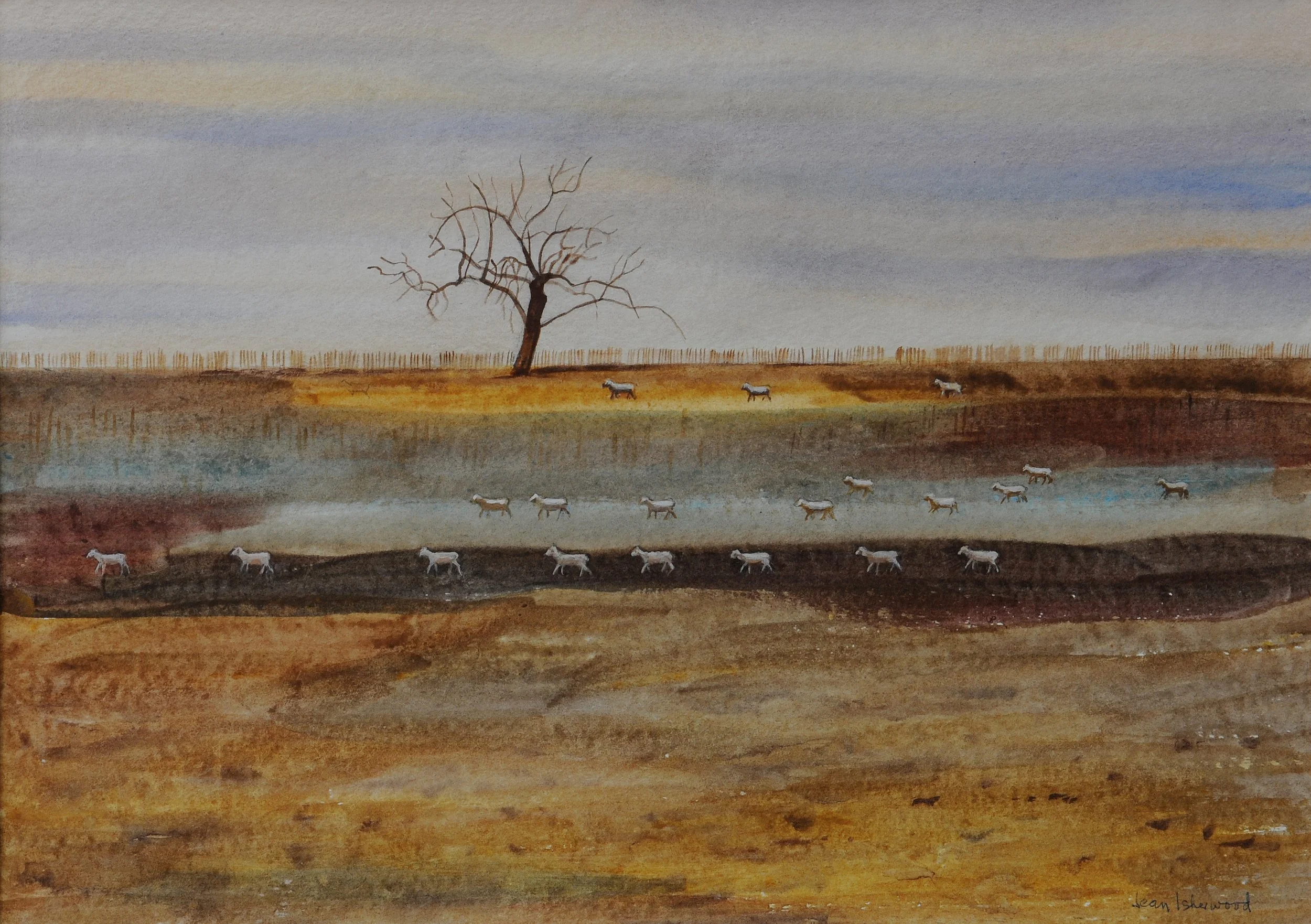 "And famine" – 1981 drought, near Goulburn, NSW