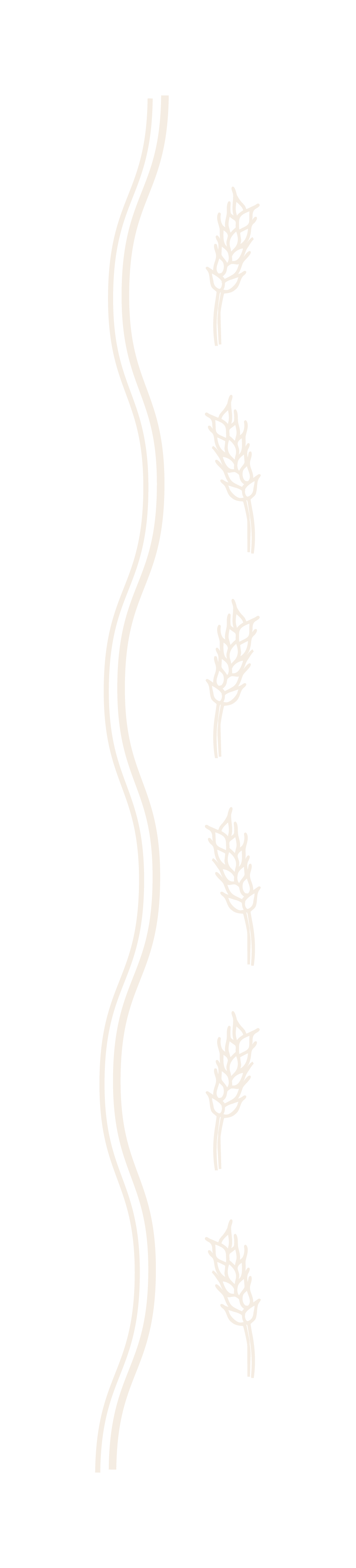 Illustration of wheat stalks and wavy lines on a black background.