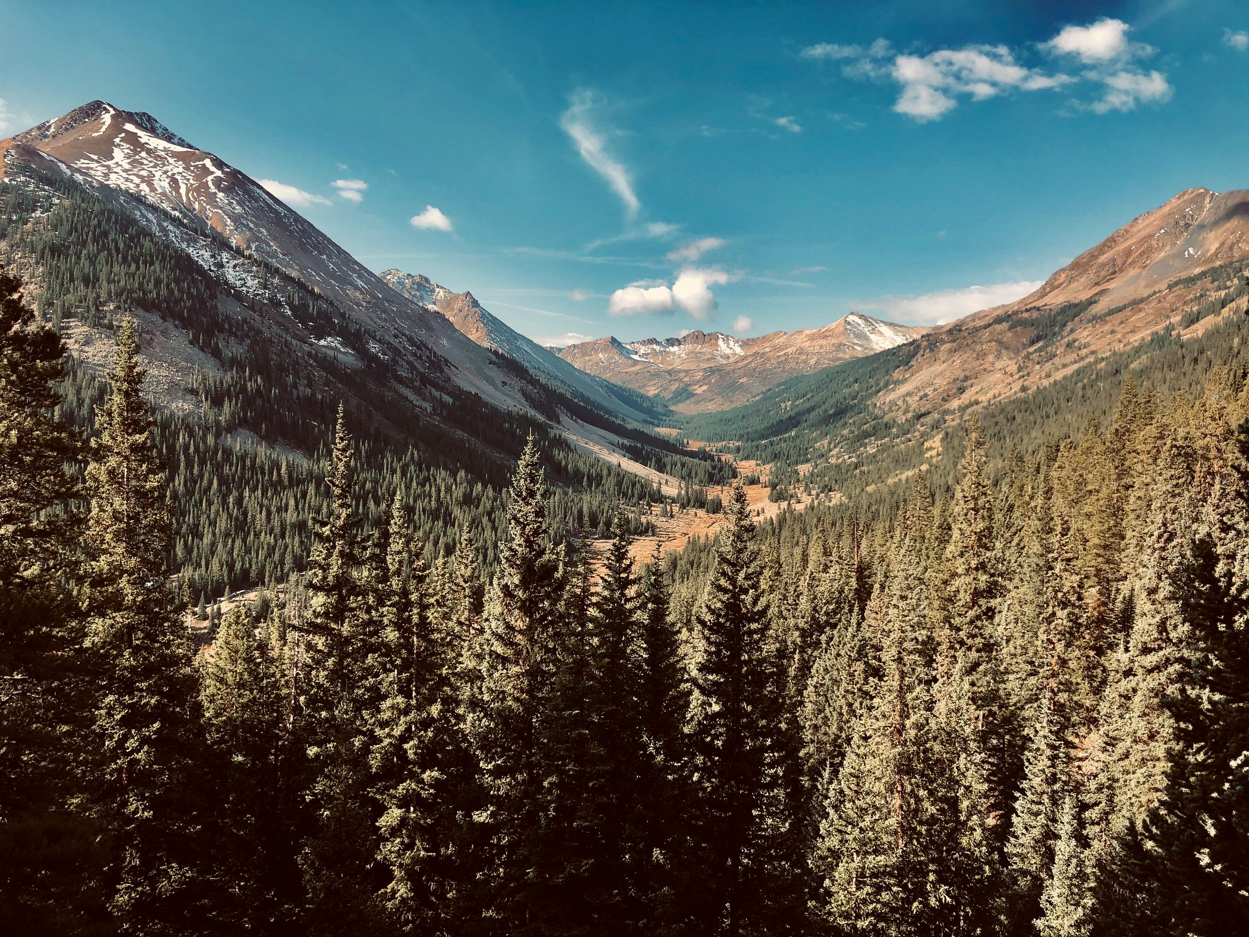 Scenic view of a mountain valley with dense pine forests, snow-capped mountain peaks, and a partly cloudy blue sky.