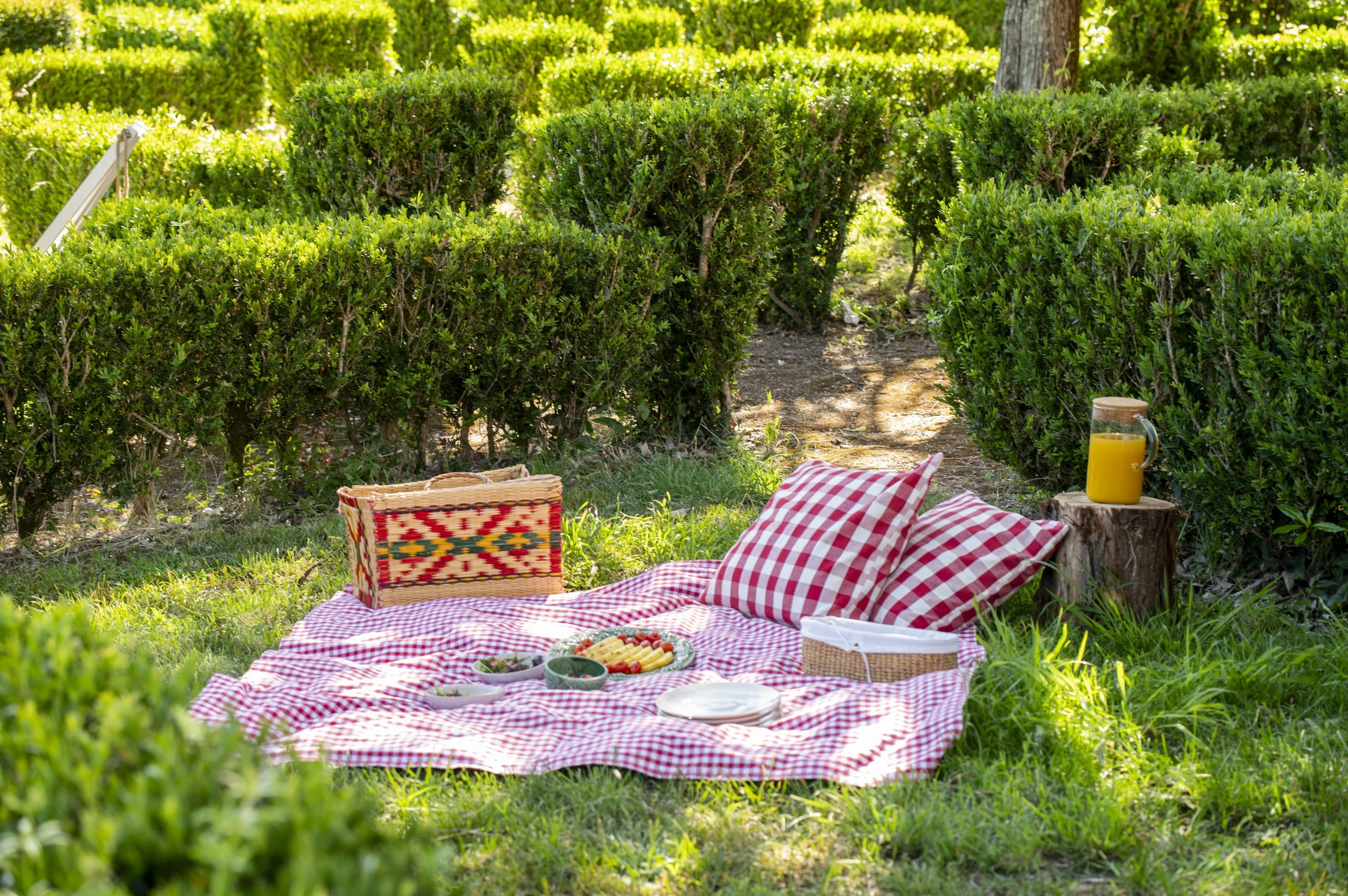 Piquenique com toalha de xadrez vermelha e branca, cesta, pratos com frutas, suco, almofadas e cerca de arbustos verdes em parque ao ar livre.