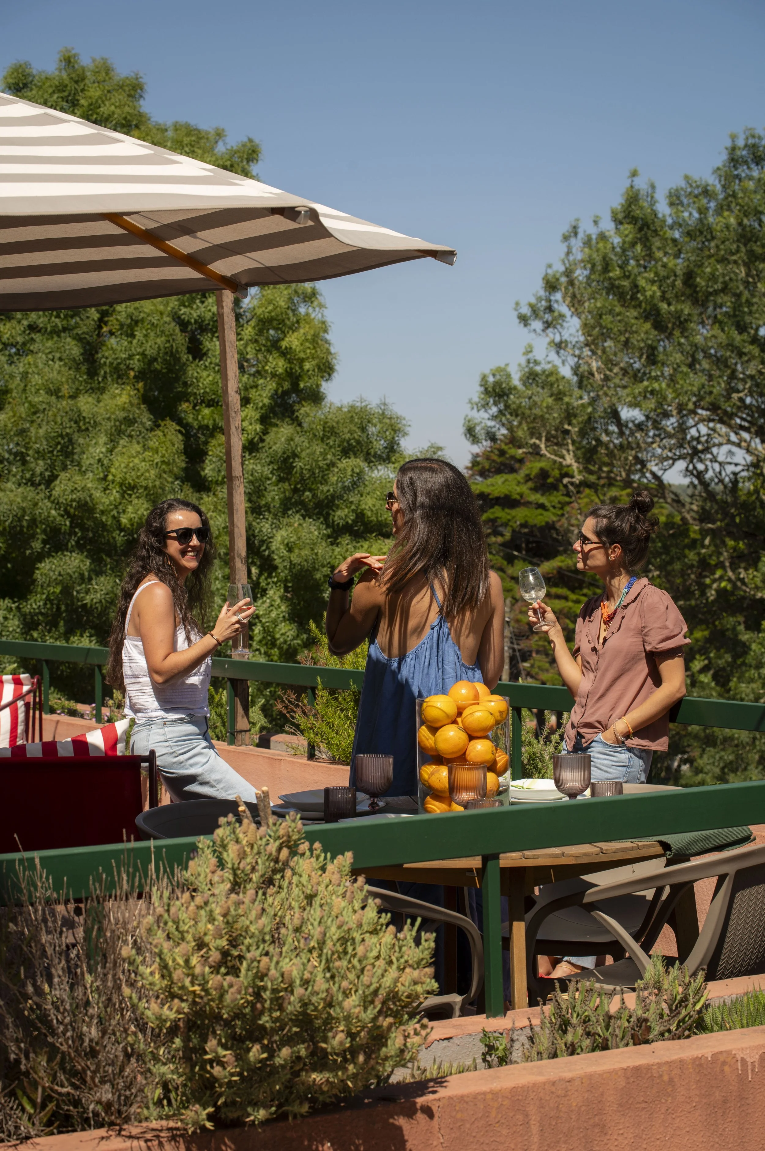 Grupo de mulheres conversando ao ar livre sob um guarda-sol, com uma mesa de jantar com pratos e copos, rodeada por plantas e árvores verdes, em um dia ensolarado.