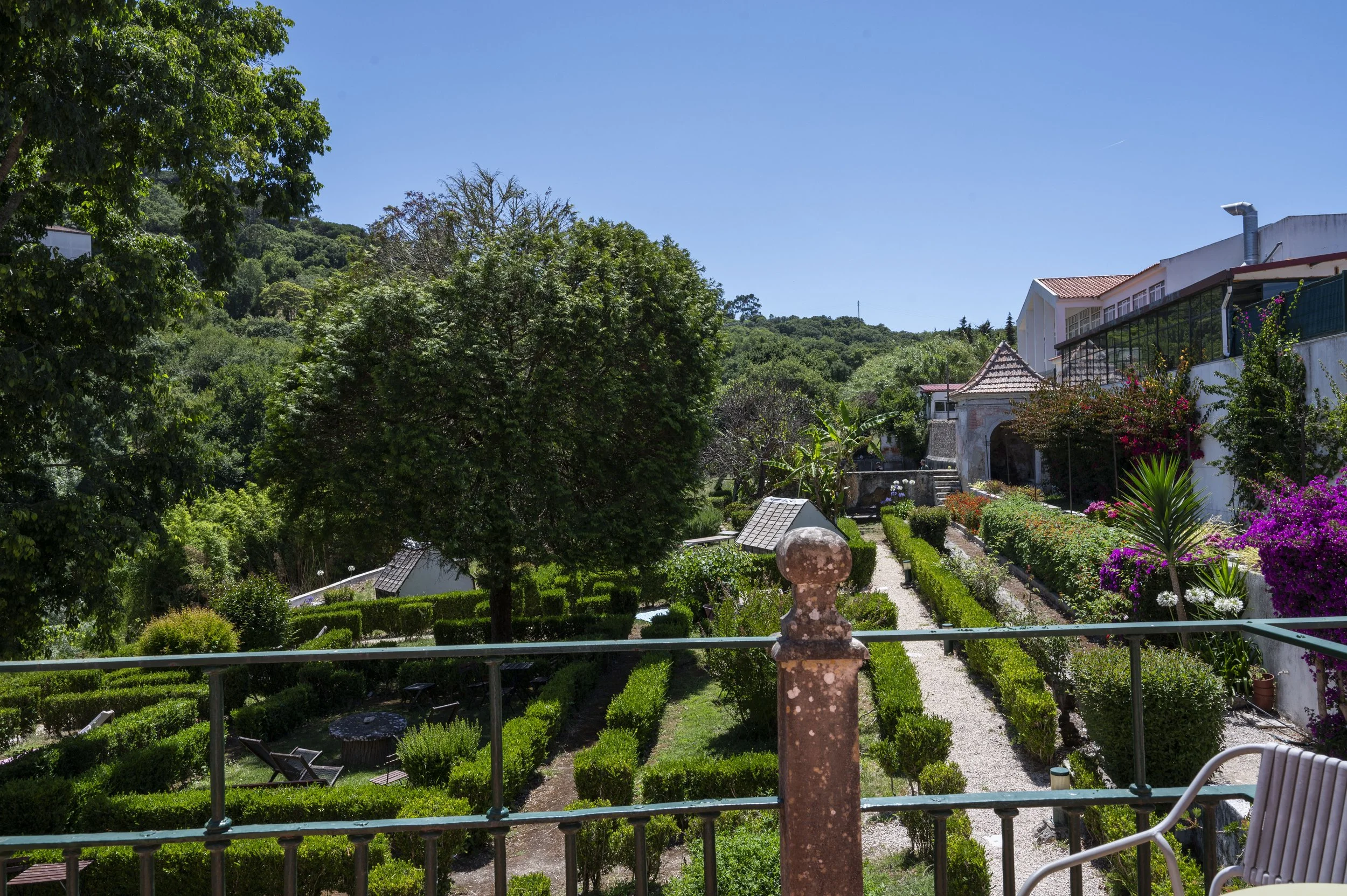 Jardim bem cuidado com plantas e flores, vista de varanda com cadeira, ao fundo casas e árvores em área rural ou suburbana.