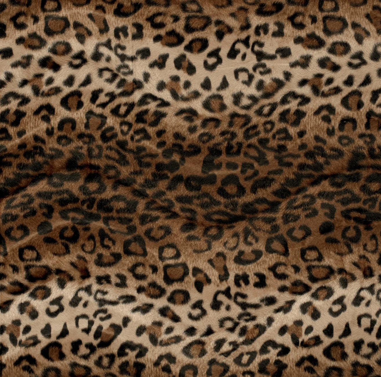 Capture d’écran 2026-03-23 à 14.15.20.png