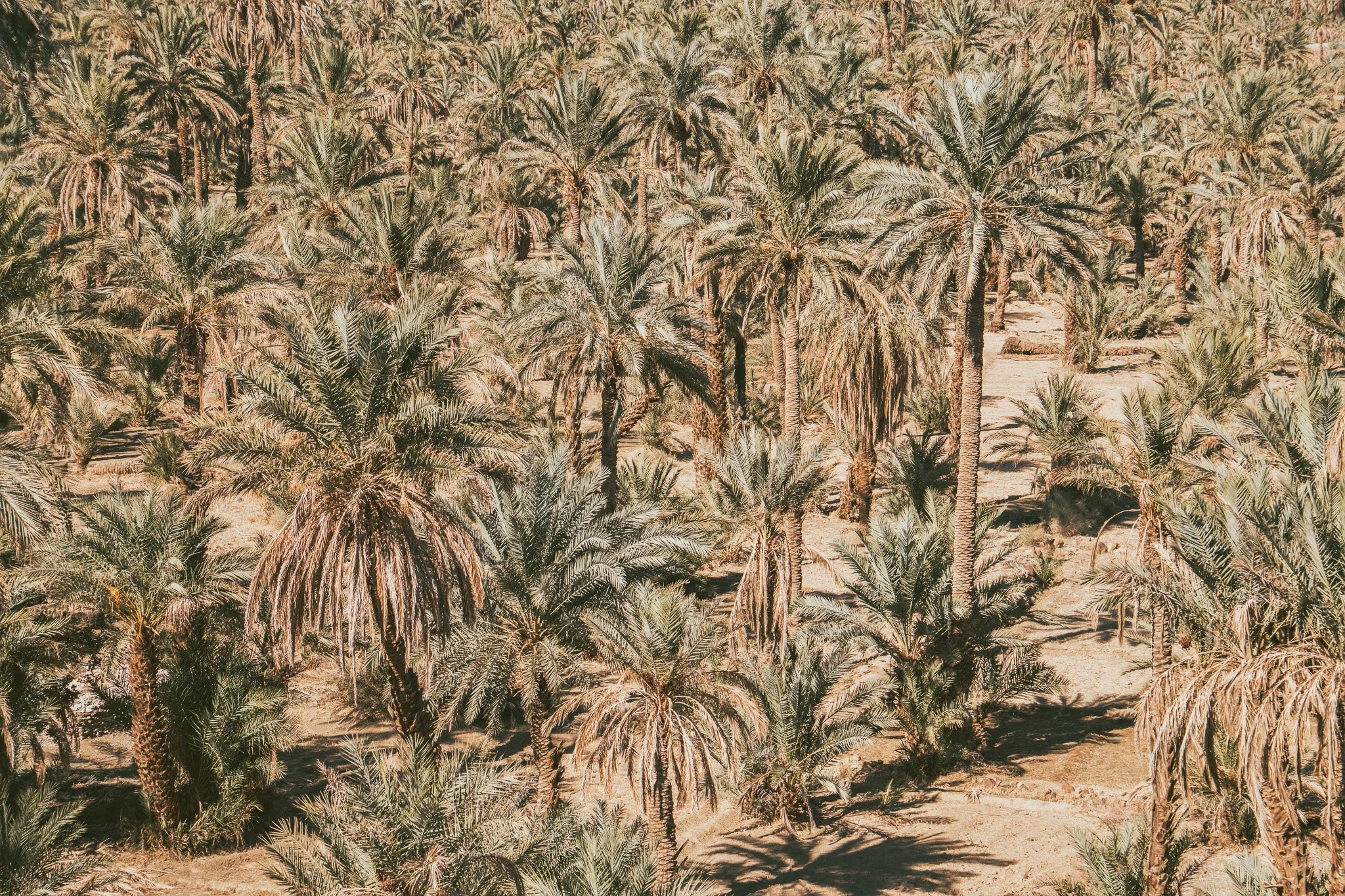 DSCF0915.jpg