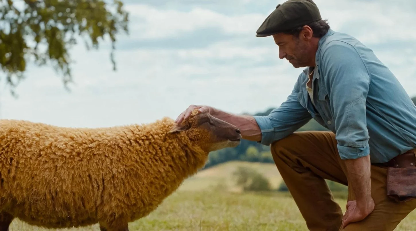 A still from the 2026 film The Sheep Detectives starring Hugh Jackman and Julia Louis-Dreyfus. In a field, a shepherd is on one knee petting his golden fleeced sheep.