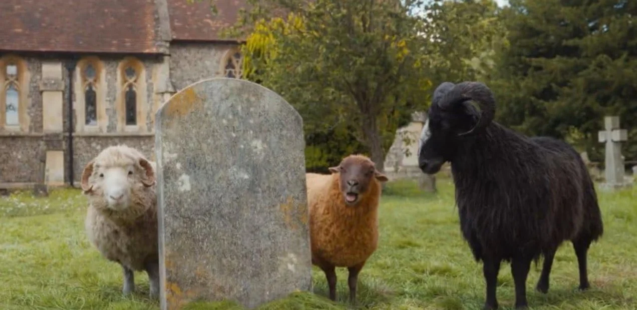 A film still from the family mystery film The Sheep Detectives (2026) featuring Chris O'Dowd, Julia Louis-Dreyfus and Brian Cranston who provide the voices for the sheep who standing behind a tombstone, one of the sheep is baaing..