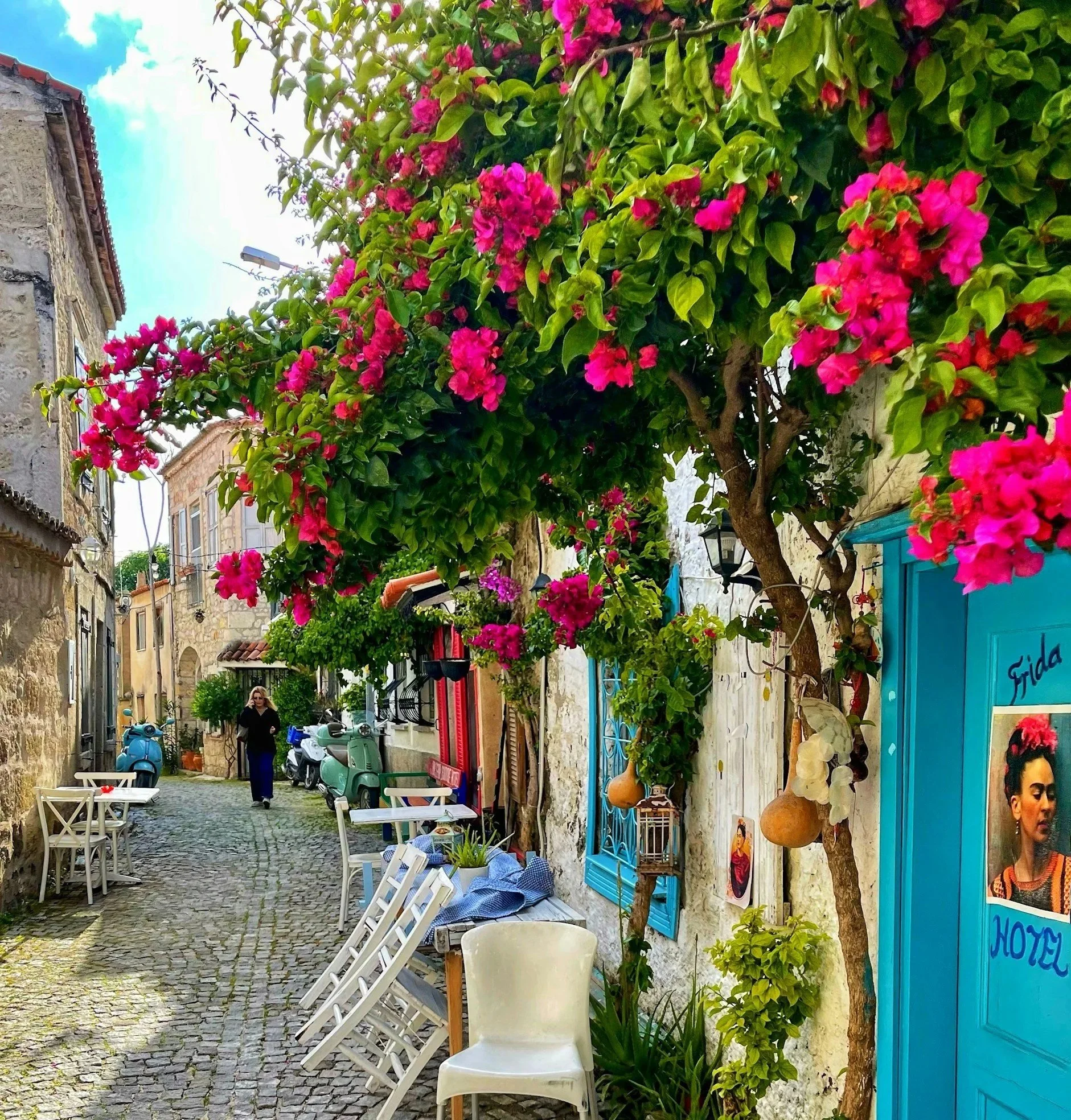 Izmir, seaside, Agais, Merritanian Sea, flowers, turkey, holiday