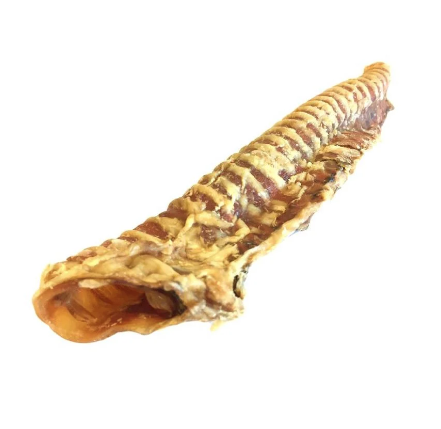 Long Trachea (Mixed 15-40cm)