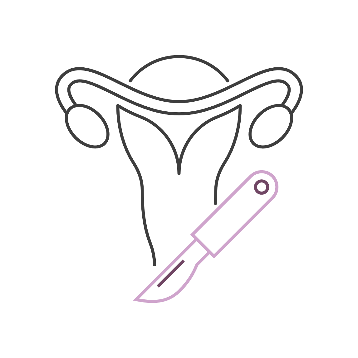Line drawing of a uterus with ovaries and fallopian tubes, with a surgical scalpel diagonally crossing it.