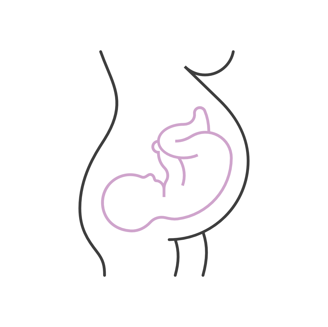Line drawing of a pregnant woman's torso with stylized internal organs, including the stomach and intestines, in purple outline.