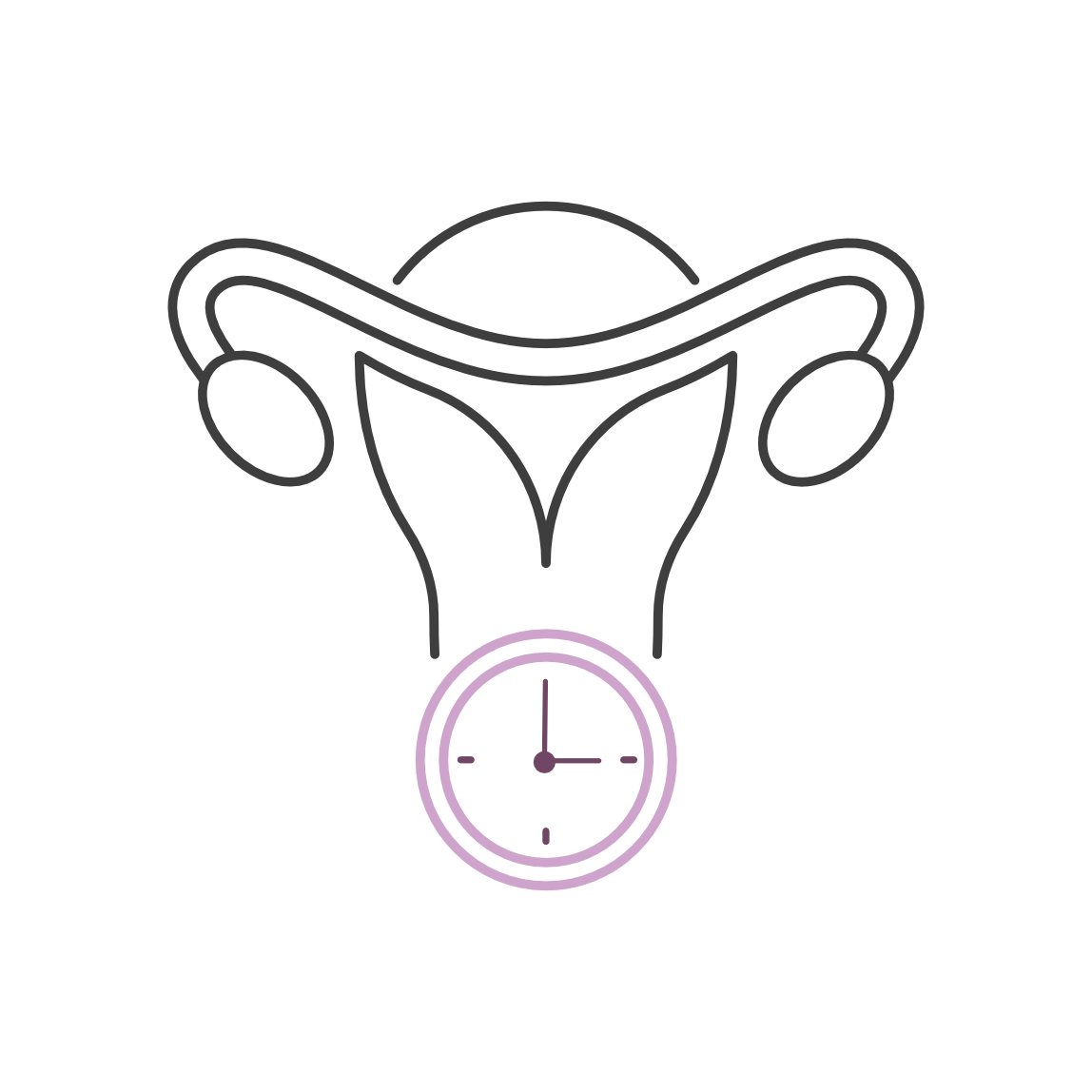 Line drawing of female reproductive system with a clock symbol below.