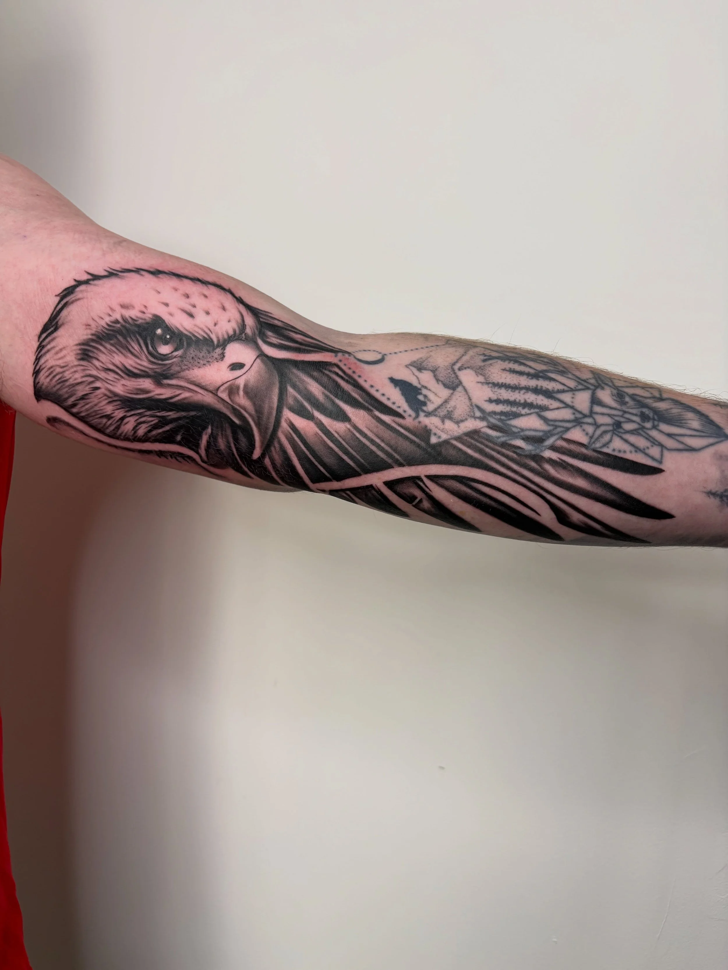 Eagle gap filler done by Luke ✨