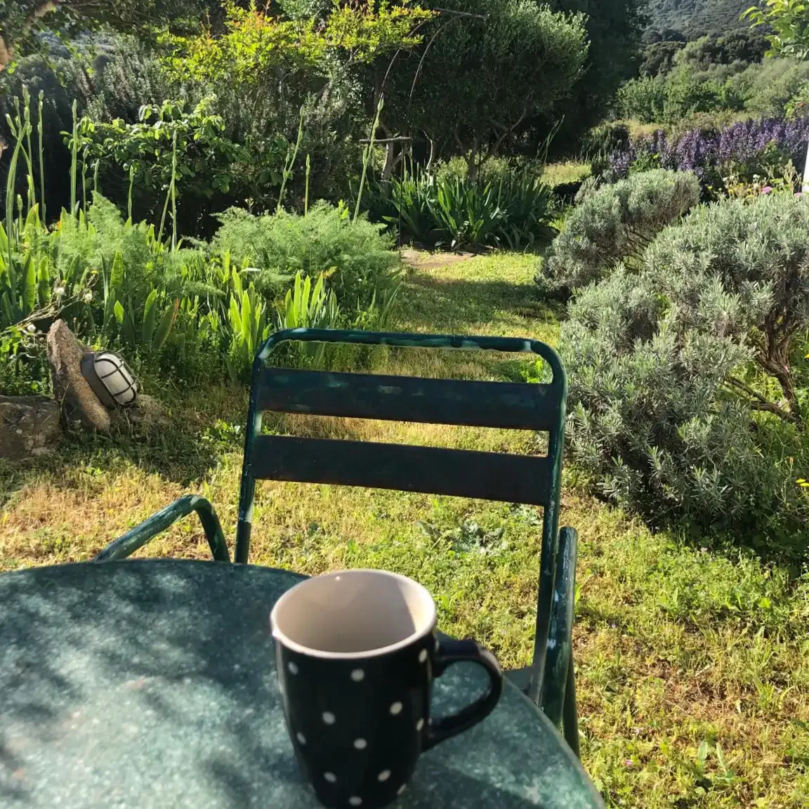 Ein Sitzplatz im Garten mit einem gedeckten Tisch und einer schwarzen Tasse mit weißen Punkten. Im Hintergrund ist viel Grün mit verschiedenen Pflanzen und Büschen, sonniges Wetter, entspannte Atmosphäre.