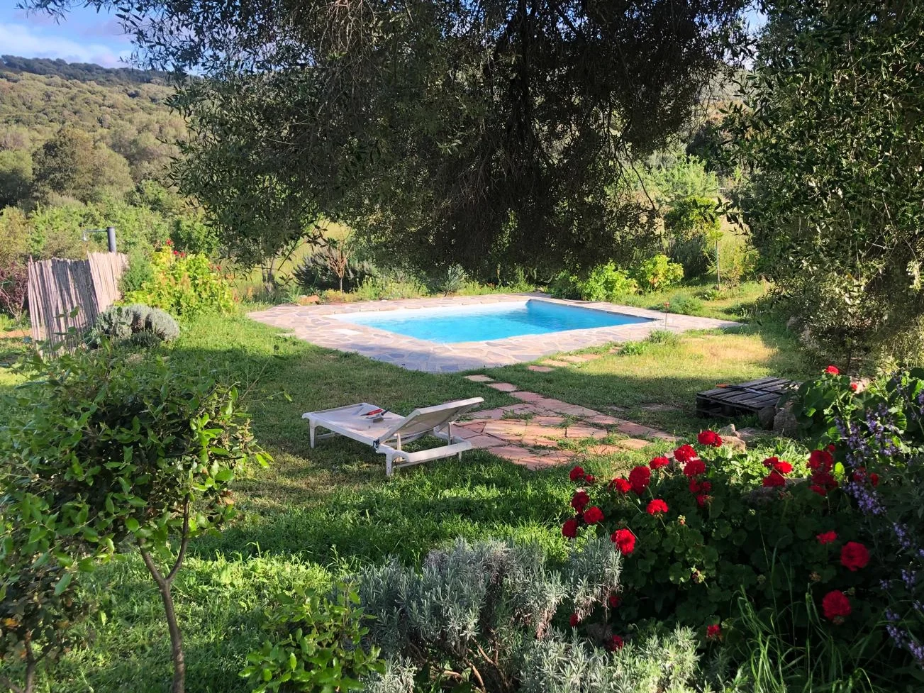 Garten mit Pool, Liegestuhl, bunten Blumen und Bäumen, in einer ländlichen Umgebung bei sonnigem Wetter.