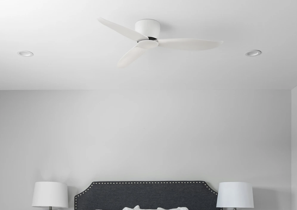 Ceiling & Exhaust Fan Installation