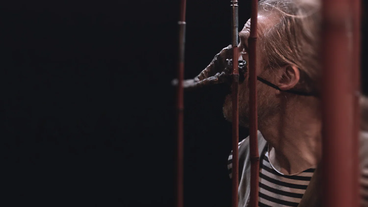 En person med mask föreställandes en anknäbb och grått hår som tittar genom ett galler.