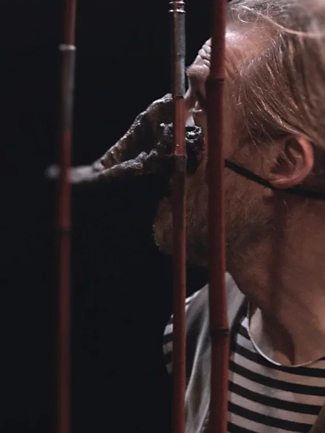 En person med randig tröja och en mask på ansiktet föreställandes en näbb, tittar igenom ett galler.