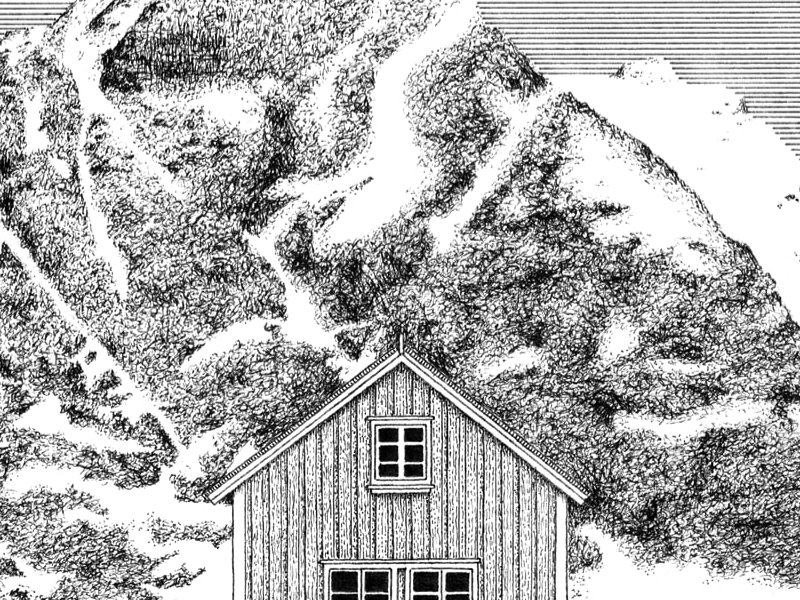 Landscape Illustrations