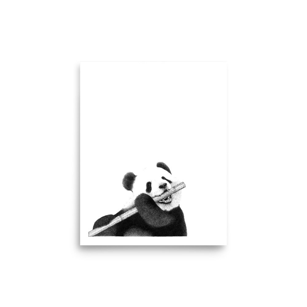 Panda Illustration