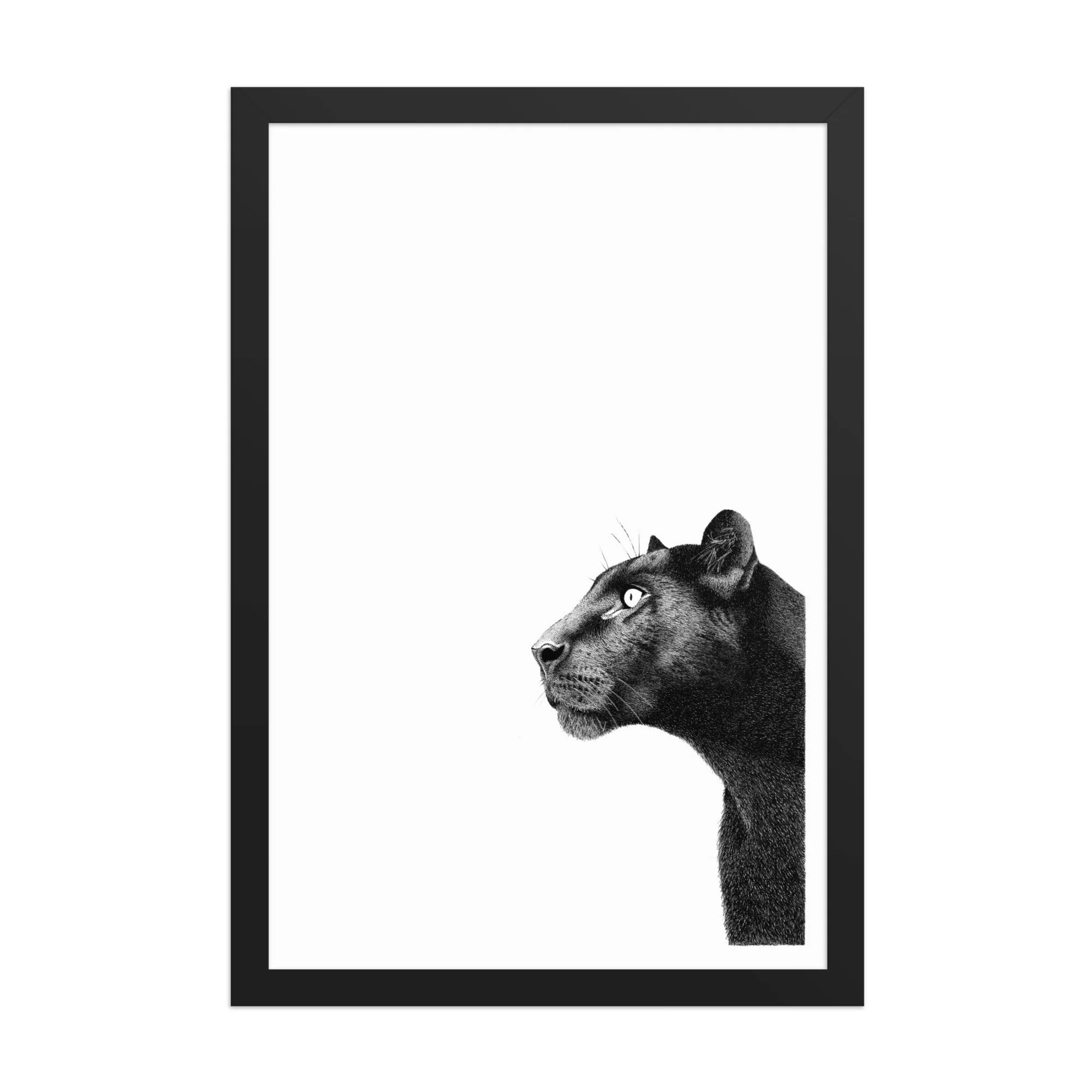 Framed Panther Illustration