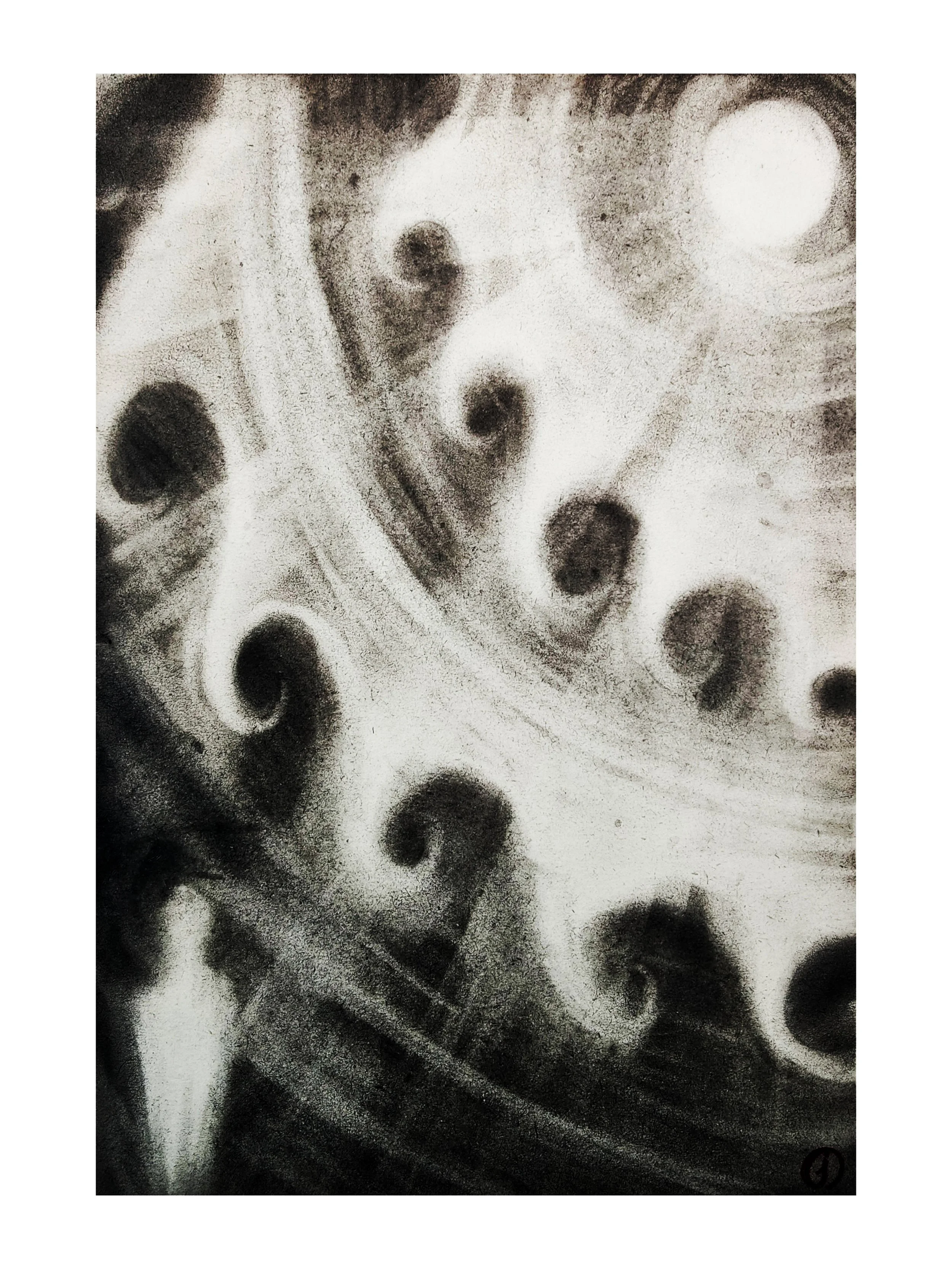1000011816.jpg