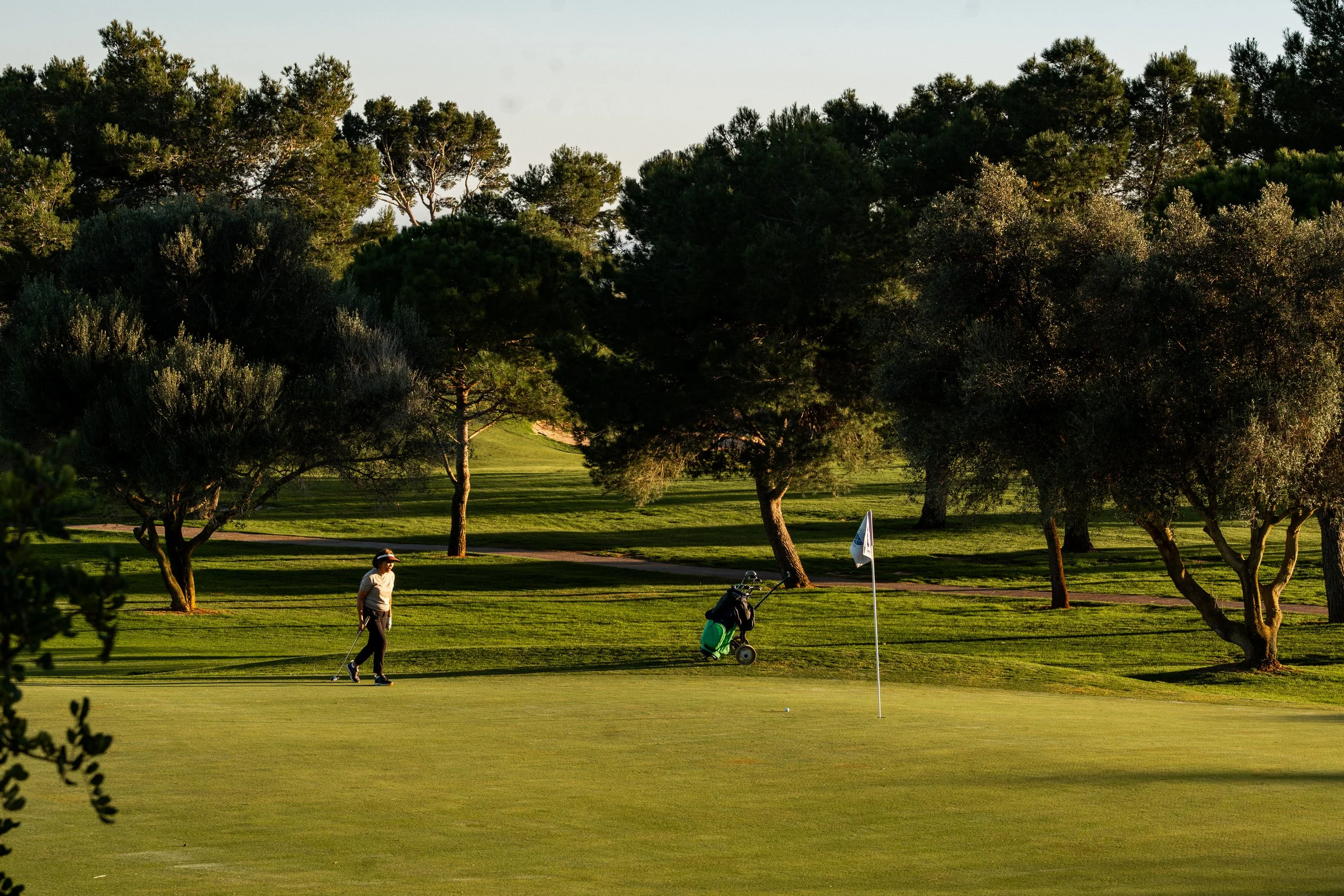 Un jugador de golf en el campo preparando para poner la bola cerca del hoyo, con árboles y césped verde en el fondo.