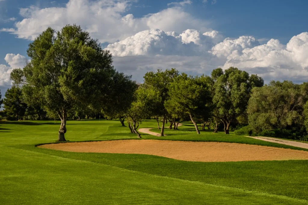 Vista de un campo de golf con césped verde, árboles dispersos y un arbusto en un bunker de arena, con cielo nublado.