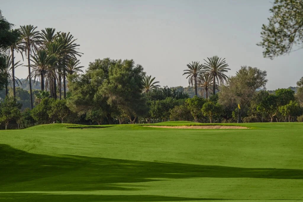 Un campo de golf con césped verde, rodeado de árboles y palmeras, y un claro en el cielo.