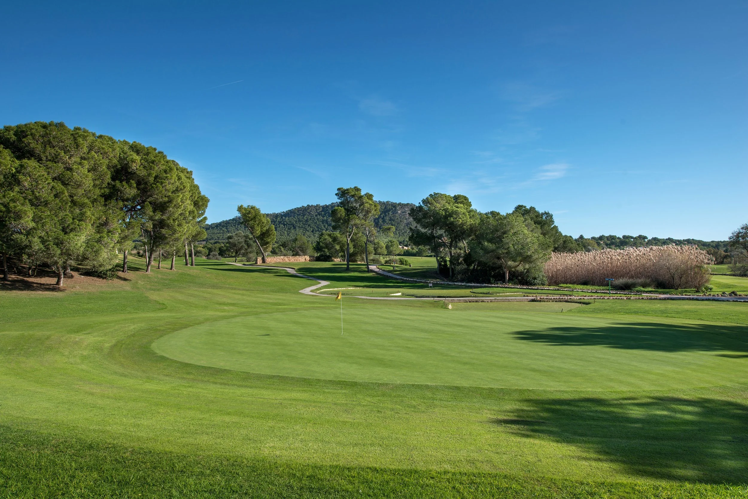 Paisaje de un campo de golf con césped verde, árboles y un camino curvado bajo un cielo claro y despejado.