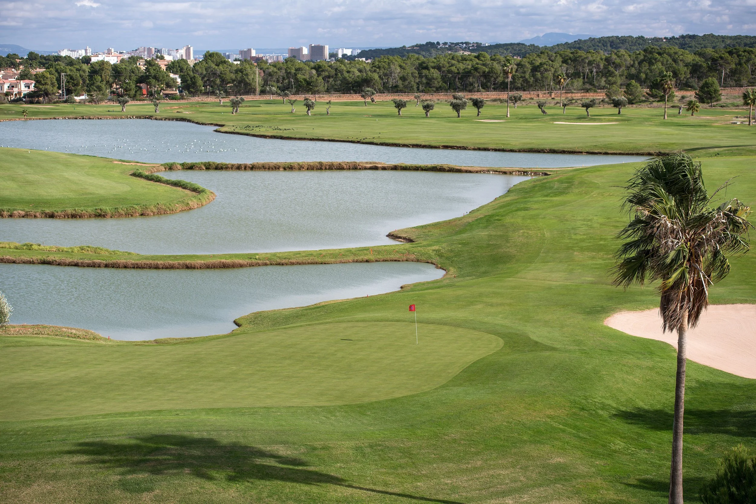 Camino de golf con lago, césped, árbol y fondo de ciudad