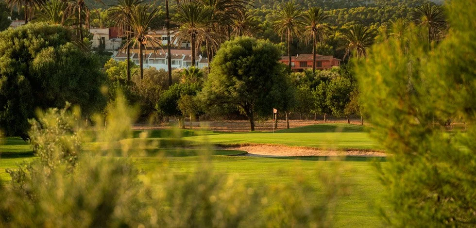 Campo de golf con árboles y casas en el fondo, en un entorno soleado y fresco.