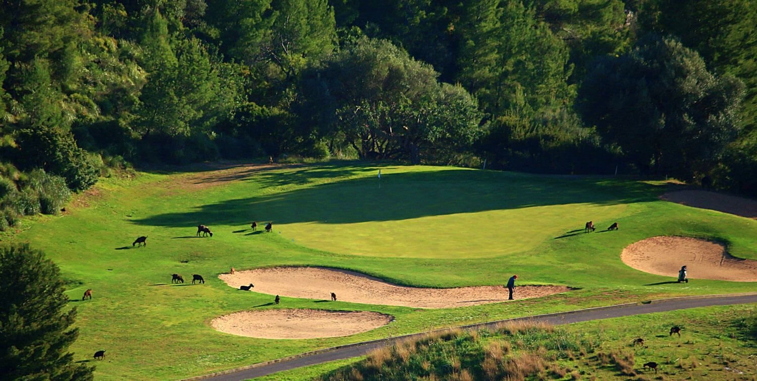 Vista panorámica de un campo de golf rodeado de árboles, con varias zonas de arena y caddies con carritos, y un jugador en la cancha en un día soleado.