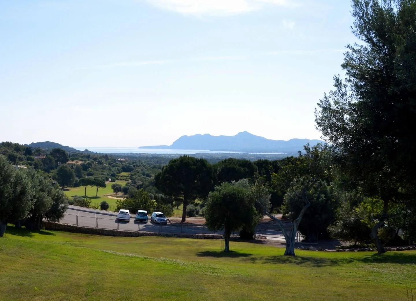 Paisaje natural con árboles, césped, un estacionamiento con autos y montañas al fondo bajo un cielo despejado.